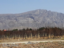 معرفی شاخص نیمروز طبیعی بروزاد در شهرستان مبارکه توسط ایرج صفایی مسئول رسدخانه دانشگاه کاشان